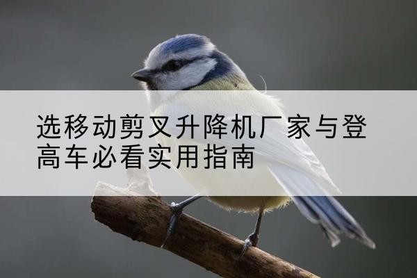 纳溪电动升降机厂家-选移动剪叉升降机厂家与登高车必看实用指南