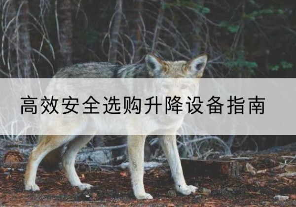 纳溪升降货梯厂家推荐-*安全选购升降设备指南