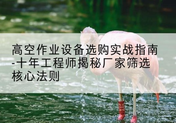 纳溪剪叉式升降机厂家-高空作业设备选购实战指南-十年工程师揭秘厂家筛选核心法则